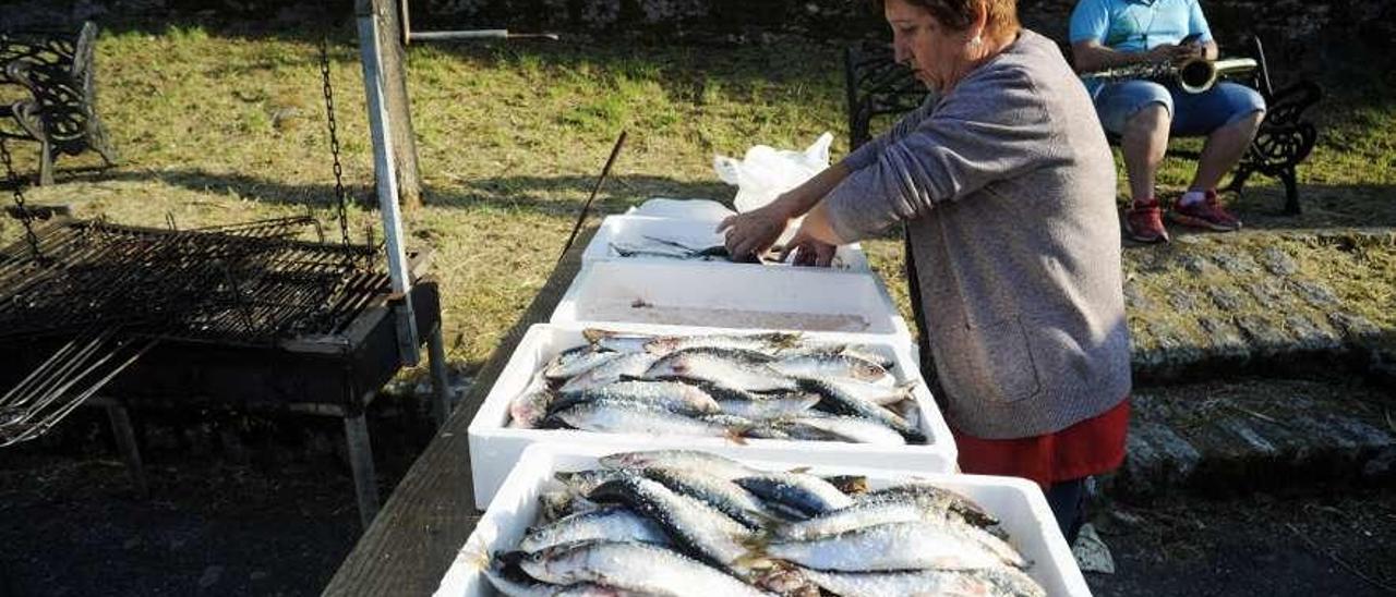 Sardinas listas para ser asadas en Vilagarcía, el lunes. // Iñaki Abella