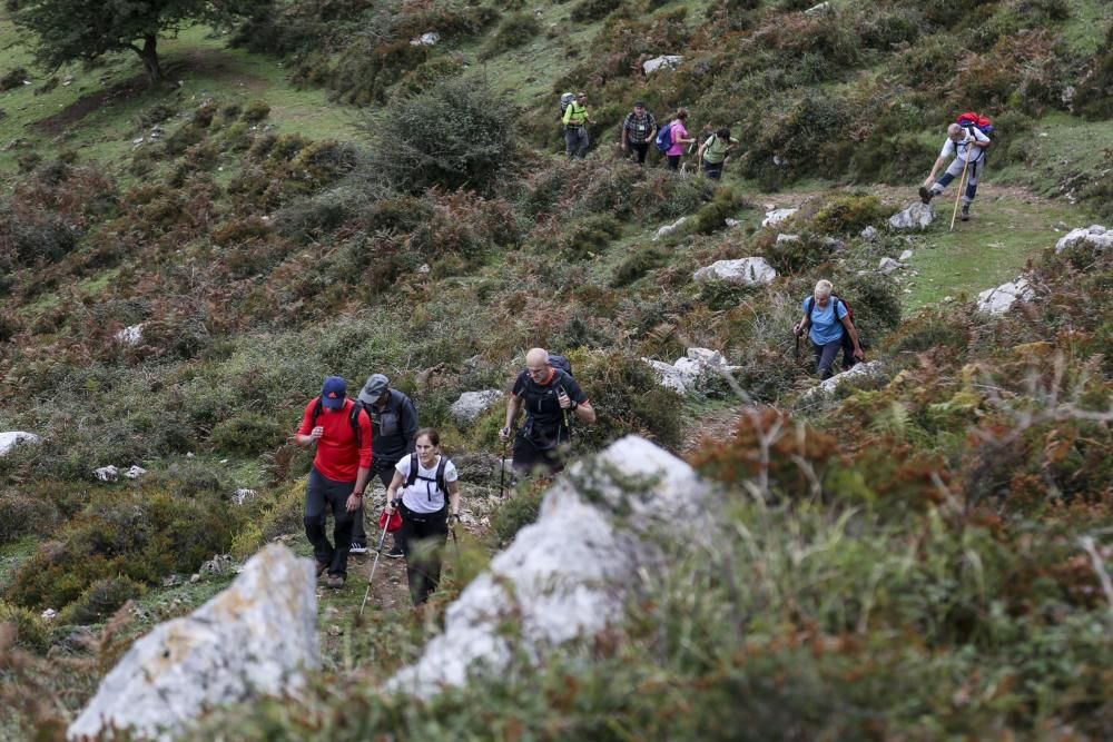 Ruta de las Santas Reliquias, entre Oviedo y el Monsacro