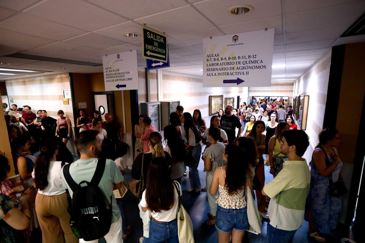 Inicio del proceso de oposiciones docentes 2025 en Andalucía en el Aula Magna de Rabanales