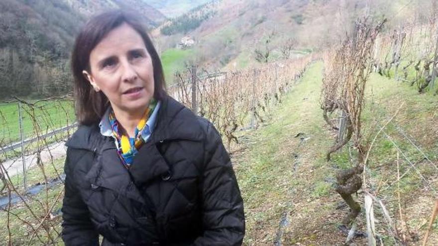 Carmen Martínez, ayer, en el viñedo experimental del CSIC en Carballo (Cangas del Narcea).