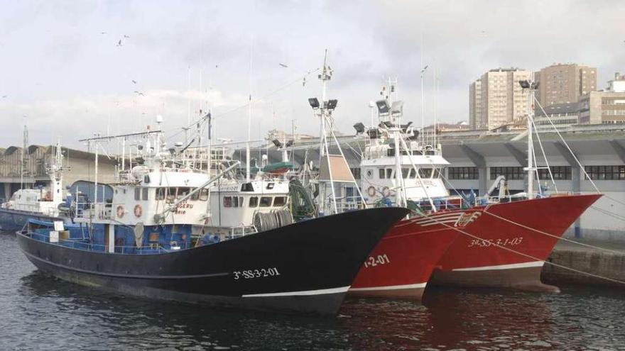 Barcos del cerco amarrados en el puerto de A Coruña. fran martínez