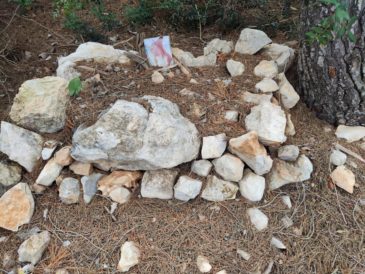 El cementerio ilegal de perros y gatos de sa Caleta en imágenes El cementerio ilegal de perros y gatos de sa Caleta en imágenes