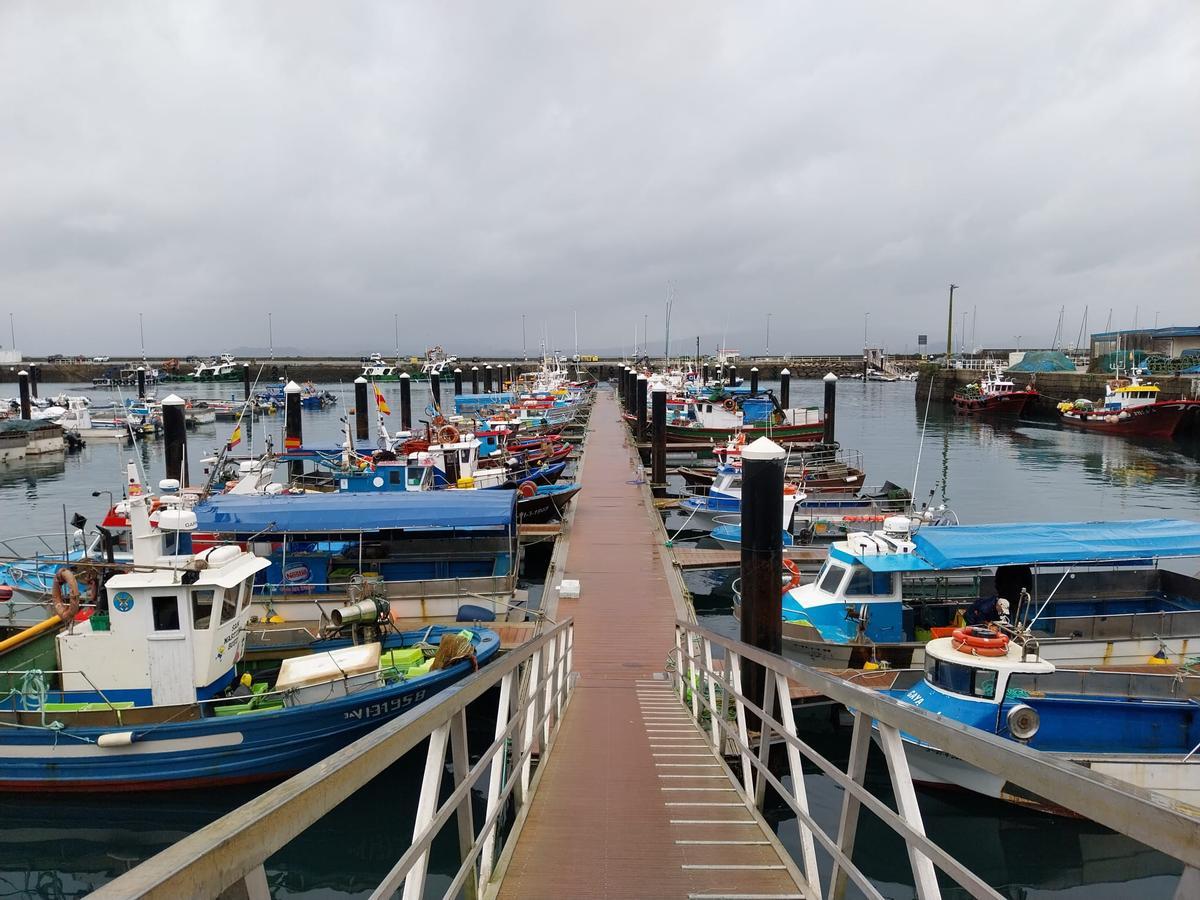 La flota de Bueu, amarrada ayer a puerto.