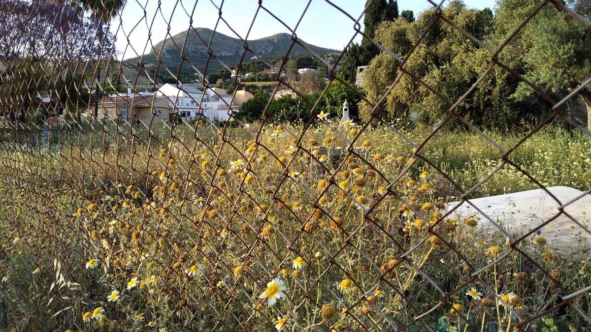 ?Como tantas parcelas, parques y zonas verdes de Málaga estos días, el solar de la foto, en Miraflores del Palo, con el Monte San Antón al fondo, se encuentra especialmente exuberante, no sólo por la llegada de la primavera tras un periodo aceptable de lluvias, sino porque quienes se podrían encargar de &#039;la siega&#039; han pasado muchas semanas confinados.