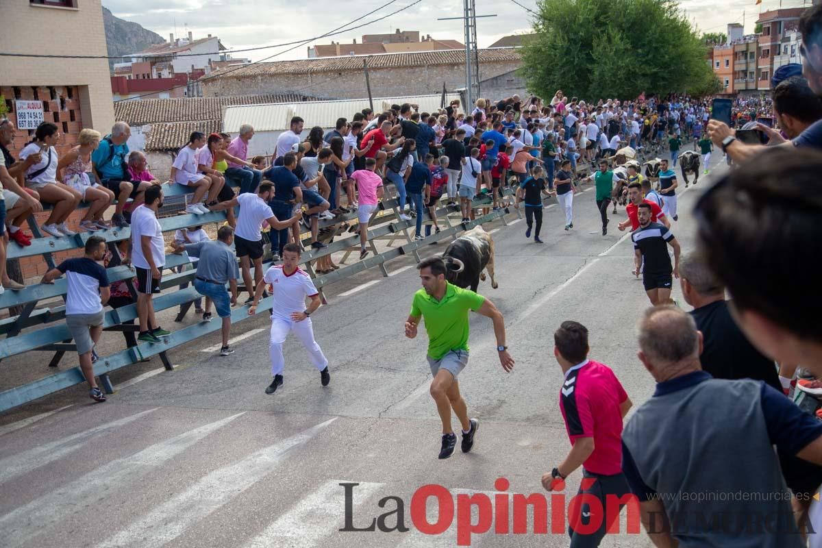 Primer encierro de la Feria del Arroz de Calasparra