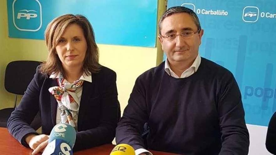 Teresa Cerdeira y Argimiro Marnotes presentan las alegaciones. // L.F.