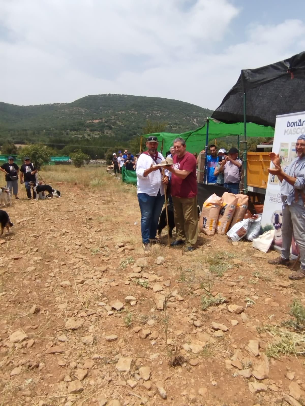 FOTOGALERÍA: Las imágenes del concurso de perros pastores de Ares del Maestrat