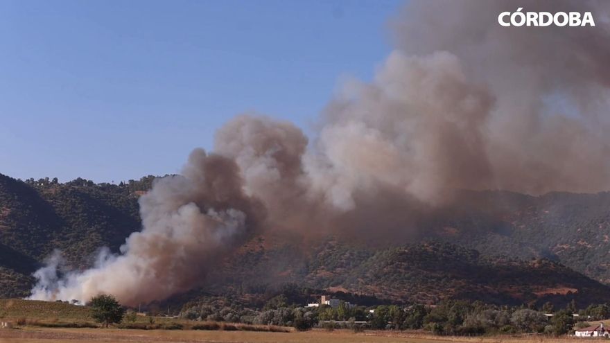 Incendio forestal junto al Castillo de la Albaida