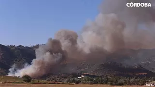 Bomberos e Infoca afirman tener bajo control un incendio que se reactivó durante la madrugada