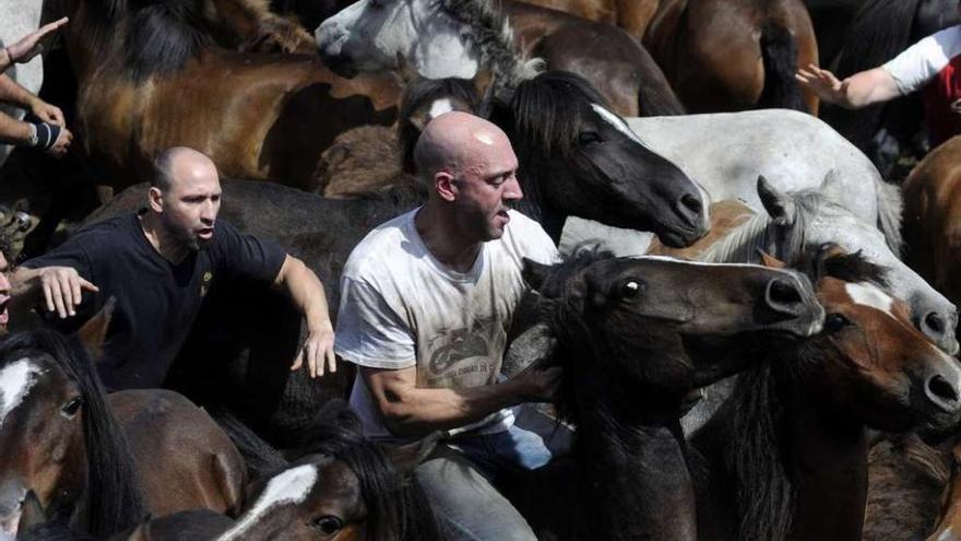 Vecinos de Sabucedo &quot;aloitan&quot; a los caballos de O Santo. // Bernabé/Javier Lalín