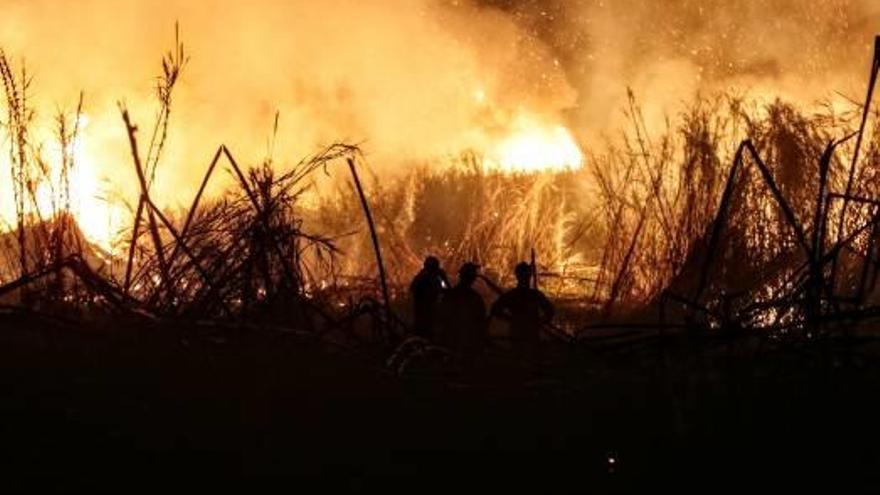 Bomberos anoche en La Nucía.