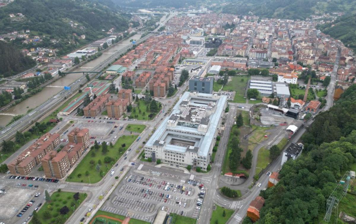Mieres celebra mañana la jornada "Bosques vivos, municipio seguro"