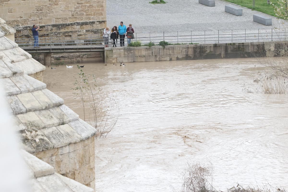 La lluvia en Córdoba deja una decena de incidencias