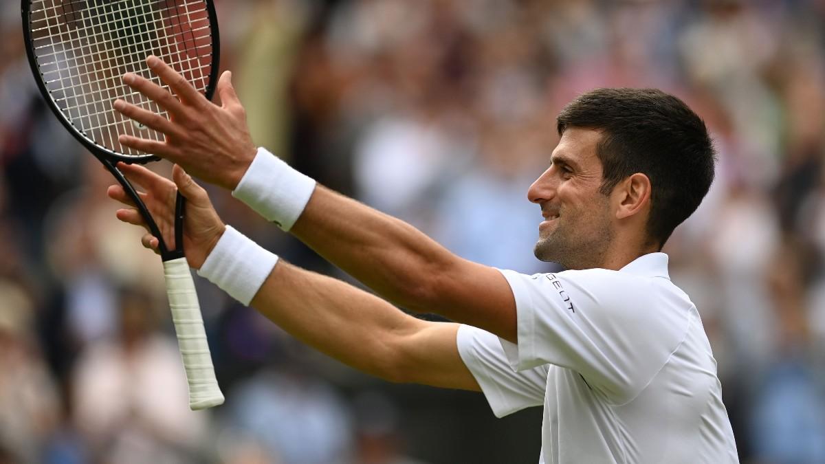 Djokovic festejó el triunfo con su clásica celebración