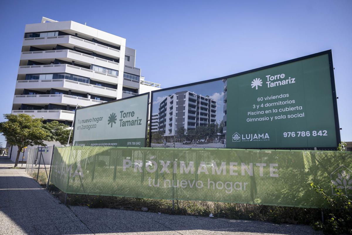 BLOQUES CEBRE - EDIFICIOS CEBRA - NUEVA CONSTRUCCION - VIVIENDA - AVENIDA CATALUÑA