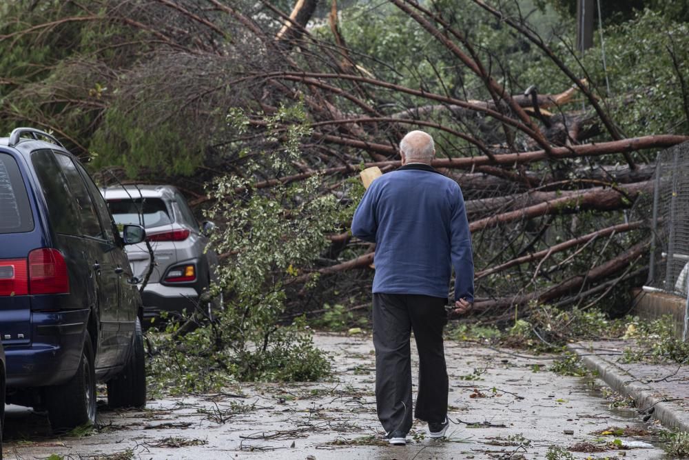 Destrosses a Riells i Viabrea per un tornado