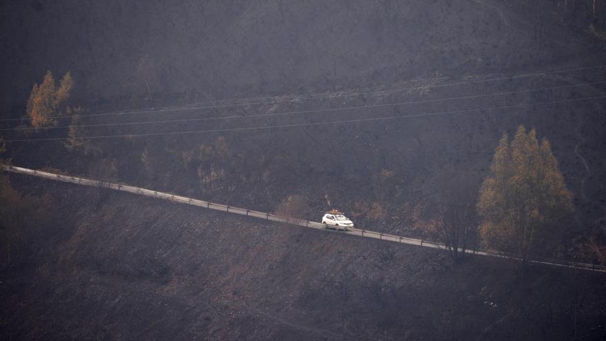 Un vehículo circula por una pista en un monte de Cervantes (Lugo) arrasado por el fuego.