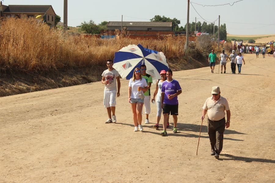 Fiestas en Zamora: Encierro en Argujillo