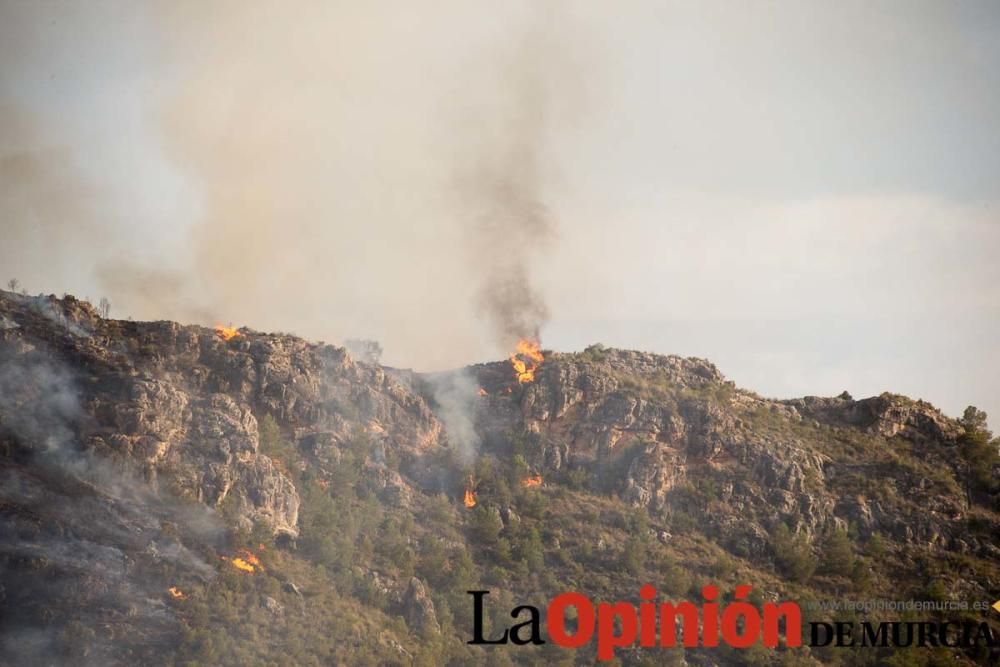 Incendio Sierra del Molino