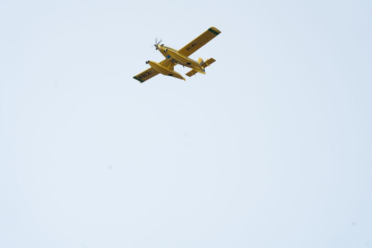 Un avión sobrevuela el incendio declarado entre Consell y Alaró.