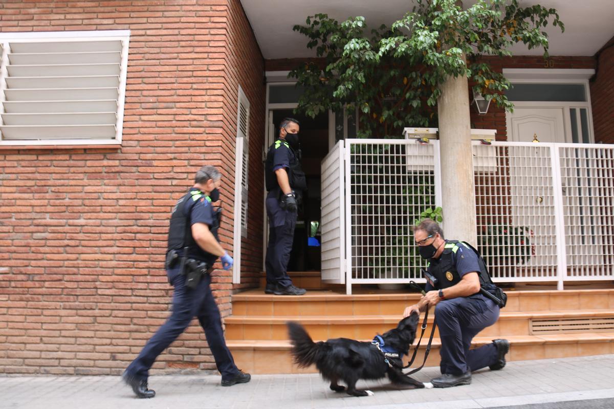Policía Municipal y un perro de la unidad canina delante de un domicilio de la calle Sant Oleguer de Sabadell durante el registro de esta mañana