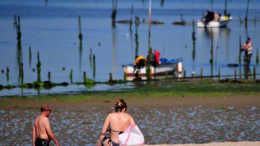 Los parques de cultivo de moluscos en Carril. // Iñaki Abella