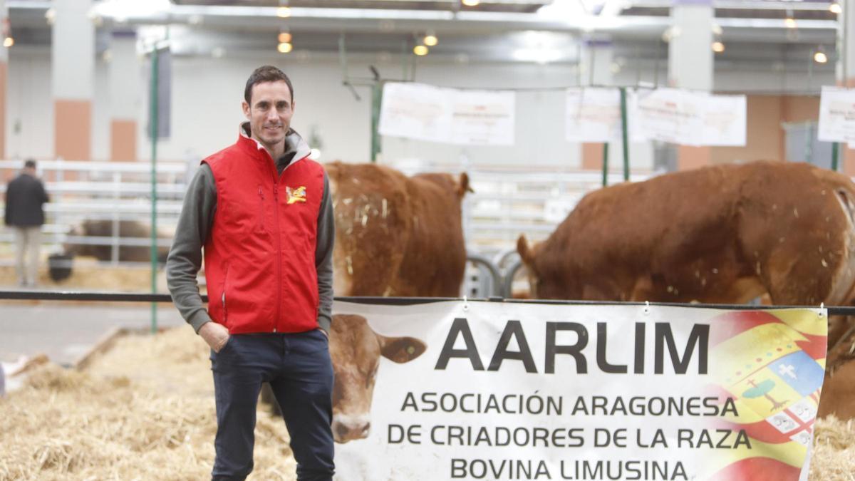 David Mainz, esta semana durante la celebración de Figan 2025.