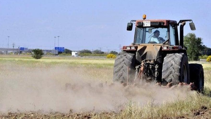 Abonan casi 4.350 millones de las ayudas directas de la PAC de 2019