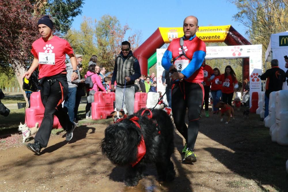 Así ha sido la Doggie Race en Benavente