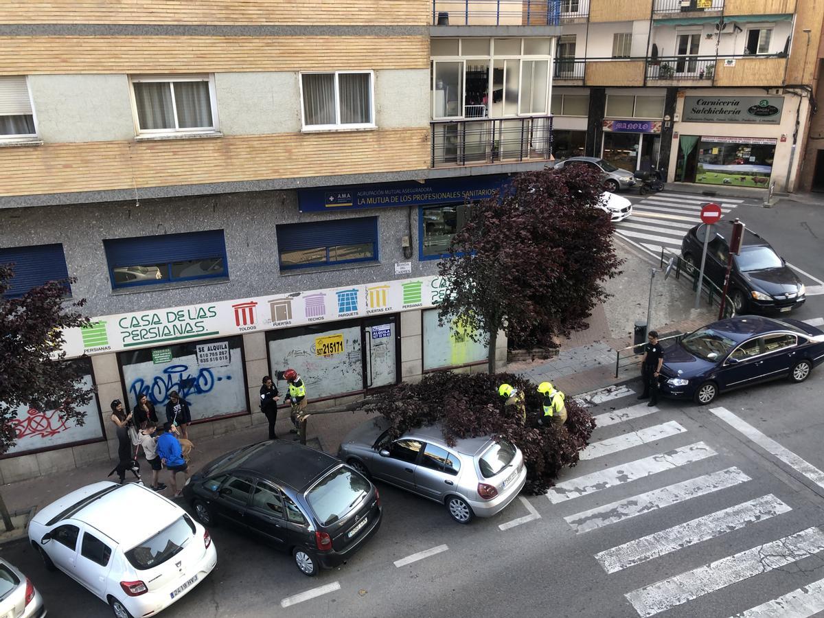 Los bomberos cortando el árbol.