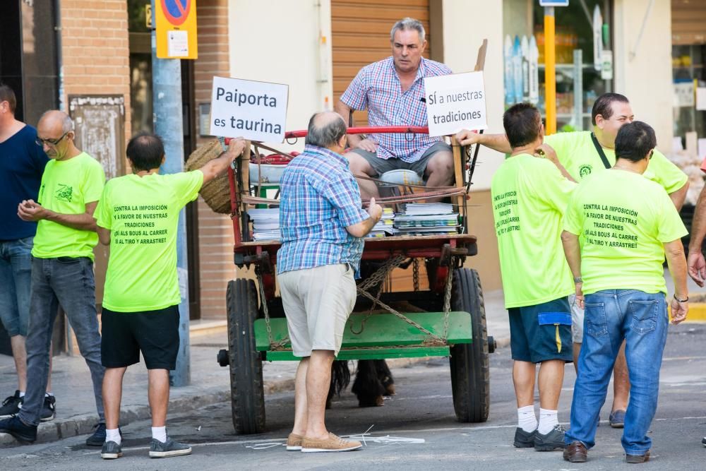 Protesta a favor de los bous en Paiporta