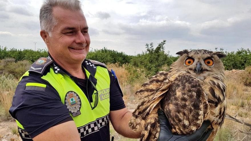 El agente, con el animal rescatado.