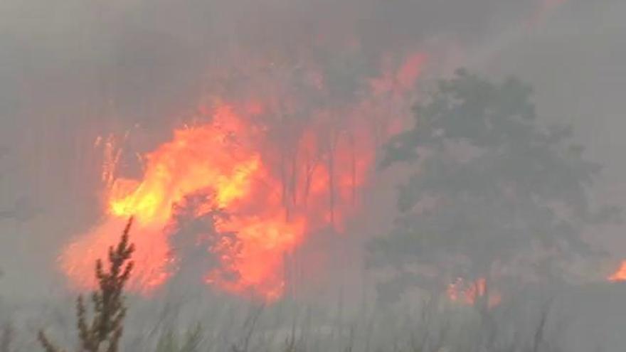 Un incendio forestal acaba al borde de Alcocer de Planes