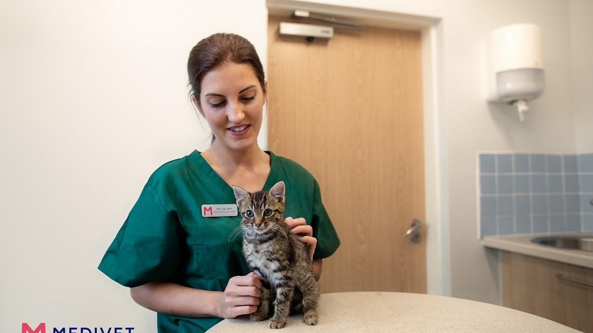 Una clínica veterinaria