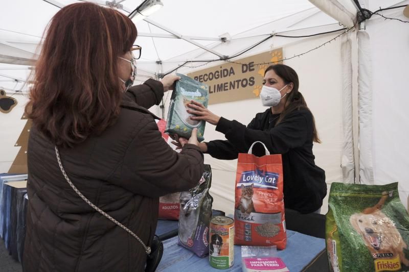 Feria de la Adopción de Animales en La Laguna