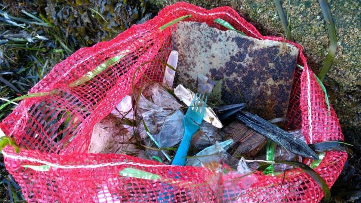 Elementos retirados de la ría en una de las salidas.
