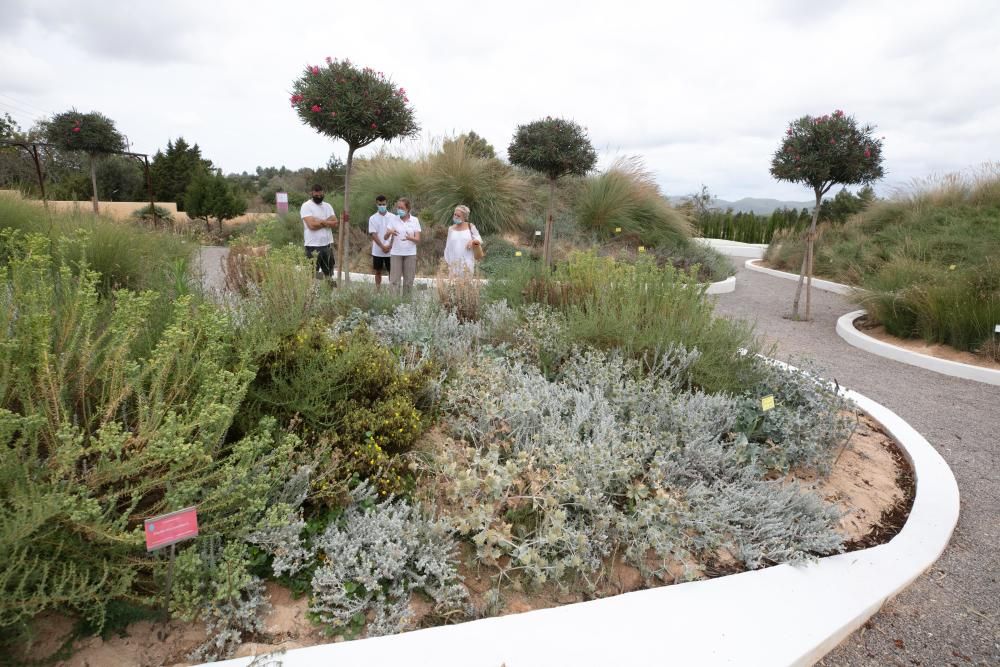 Abre sus puertas en Sant Rafel el primer jardín botánico y biotecnológico de las Pitiusas con vegetación de ambas islas
