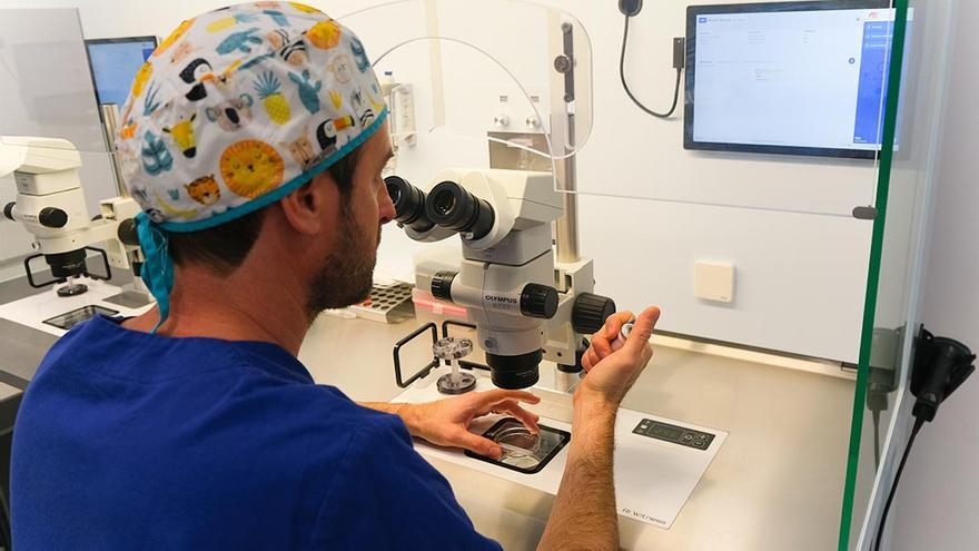 El sistema Witness, la tecnología que elimina el error humano en tratamientos de fertilidad