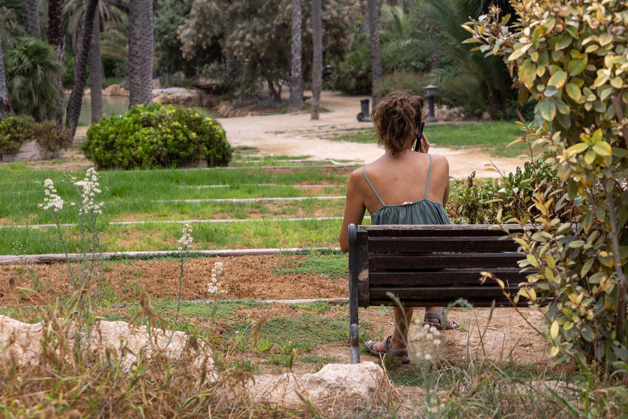 El abandono del Parque El Palmeral de Alicante