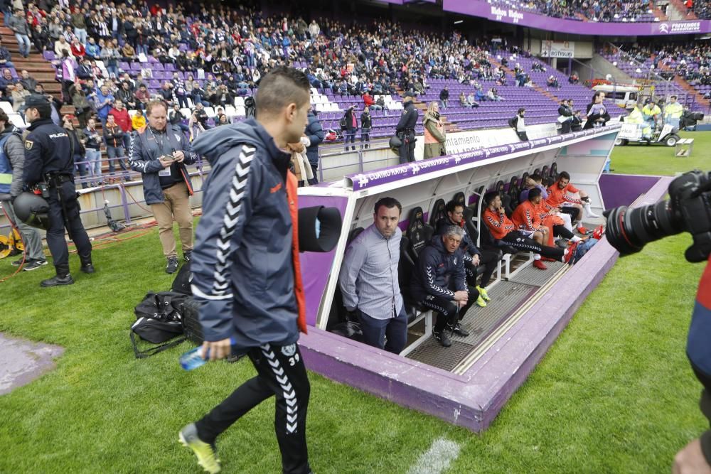 Así apoya La Mareona al Sporting en el José Zorrilla