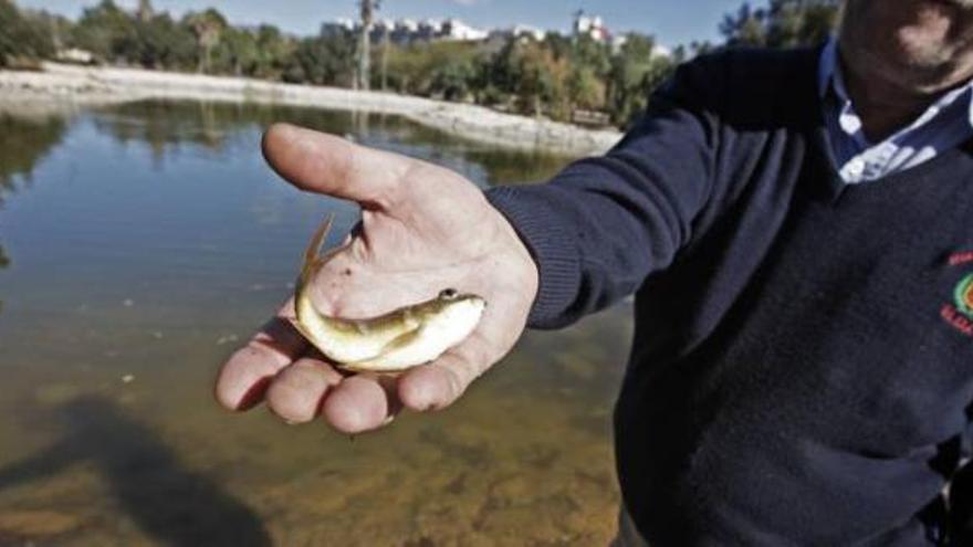 Un vecino sostiene uno de los peces muertos que se encontraron en el lago del Peri ayer.