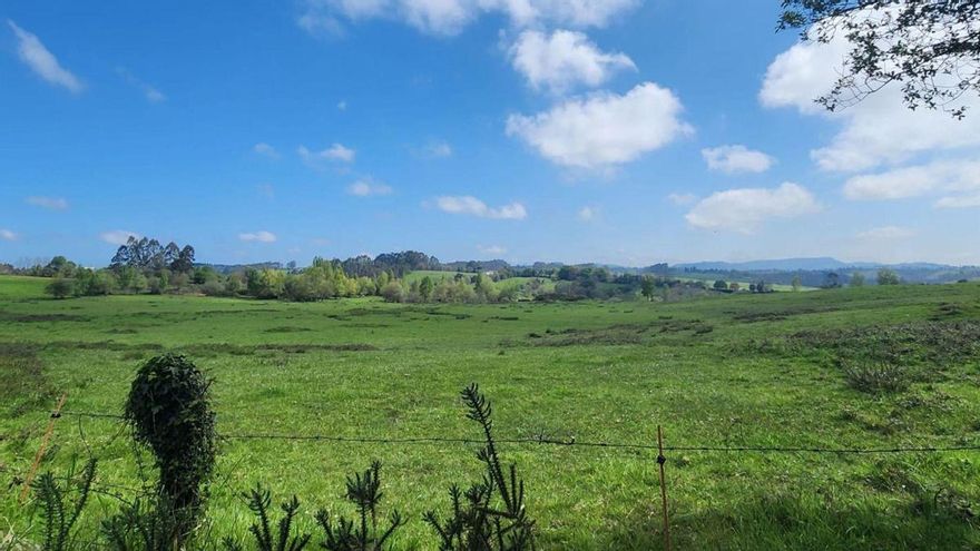 La nueva ciudad deportiva del Oviedo en Siero va tomando forma: seis campos, una residencia y 49,5 millones de inversión