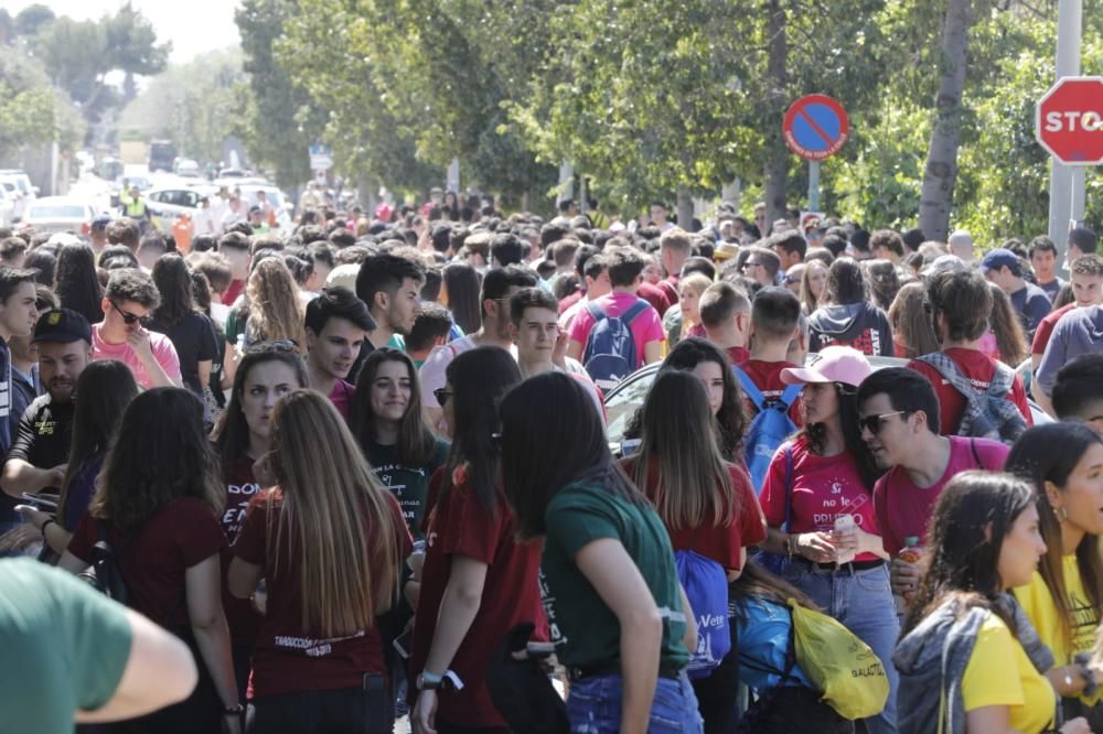 Paellas universitarias 2019 en València