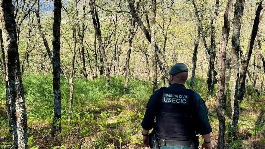 La Guardia Civil refuerza la búsqueda del hombre desaparecido en Jarandilla de la Vera