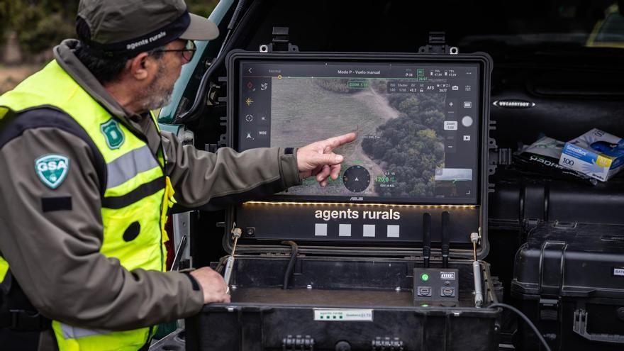 Agents Rurals controlen les imatges que capta el dron a la zona afectada per la pesta porcina africana