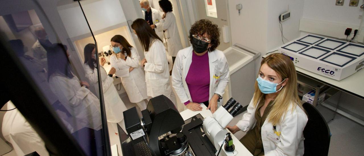 Trabajadoras de la Unidad de Reproducción Asistida de la Arrixaca, ayer durante la inauguración del nuevo laboratorio. | JUAN CARLOS CAVAL