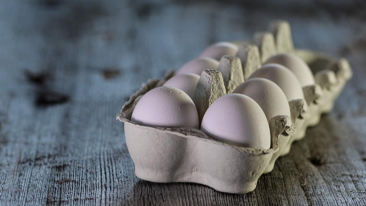 Incorpora huevo en la dieta de los niños con esta curiosa receta