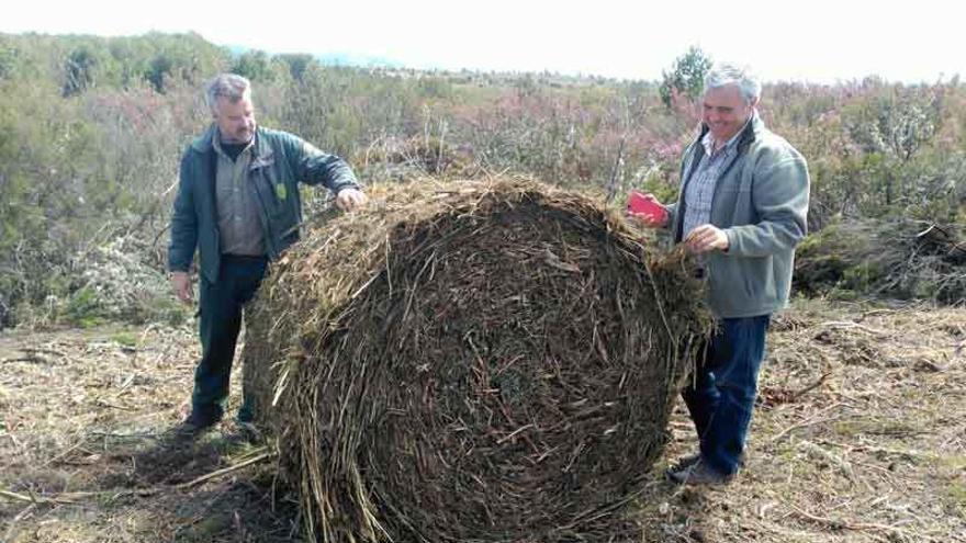 Dos responsables del servicio territorial de Medio Ambiente contemplan una de las pacas de 500 kilogramos.