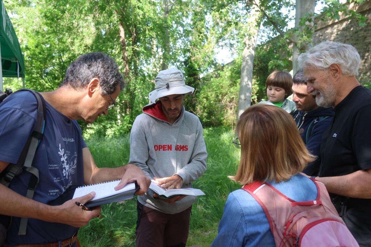 Unes 85 perosnes aficionades a la natura han participat al Bioblitz