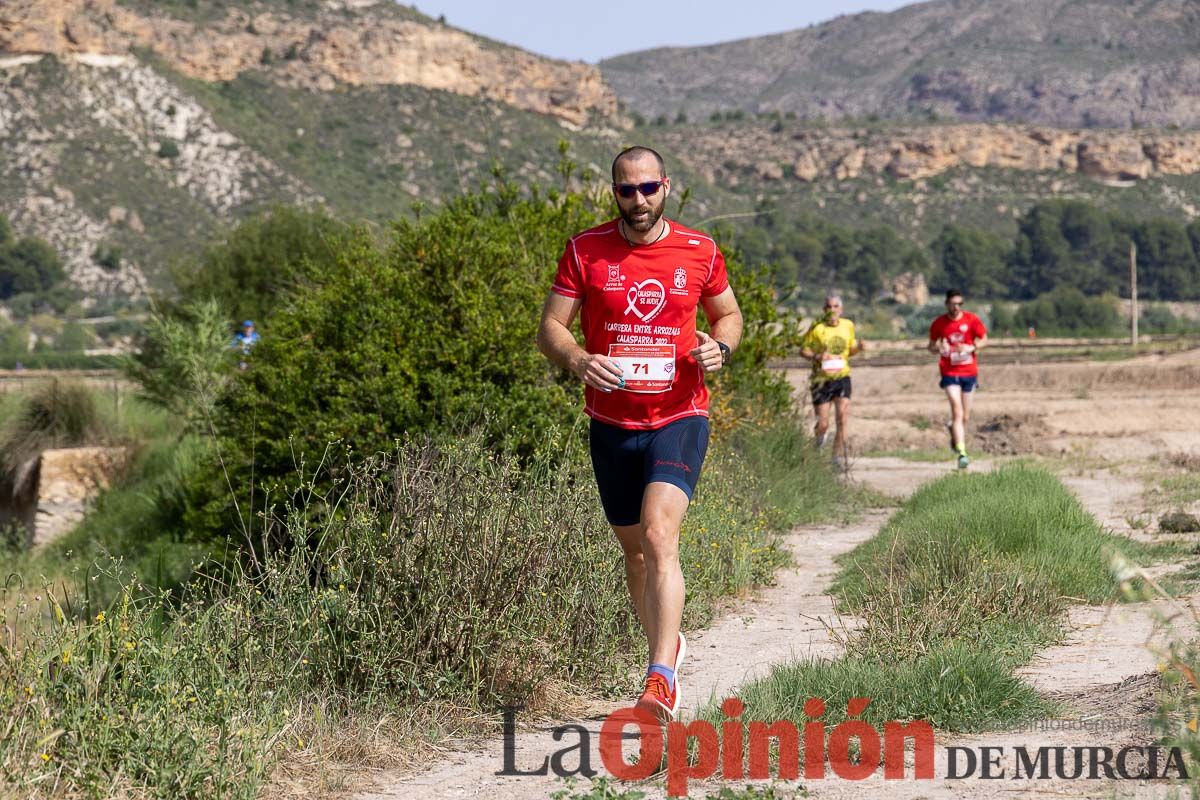 Carrera 'Entre arrozales' en Calasparra (carrera)